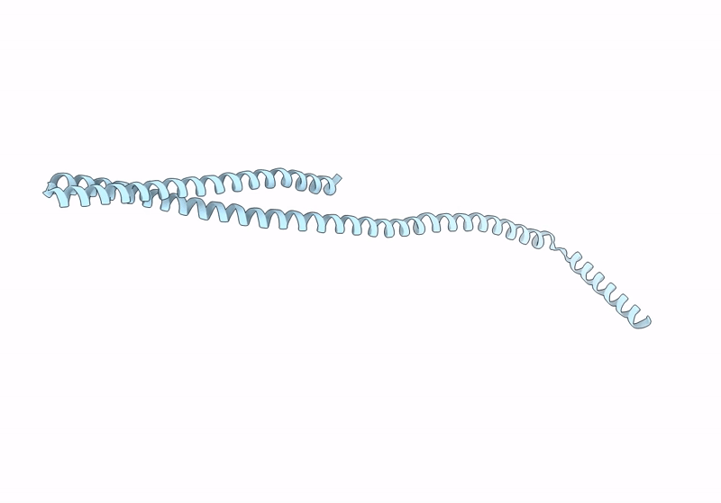 8QI6 image