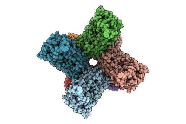 8QJ0 image