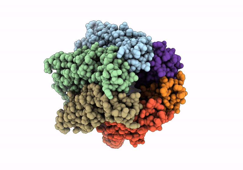 8QKI image