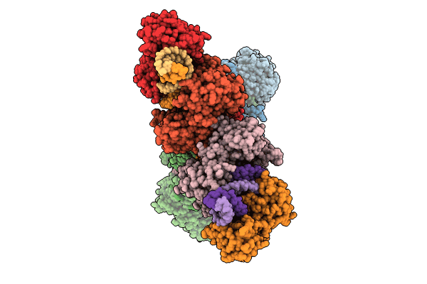 8QLP image