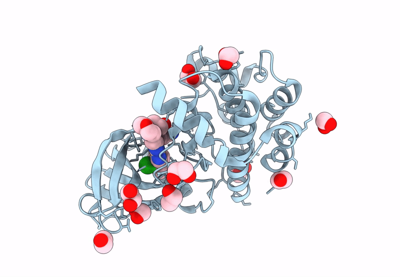 8QLS image