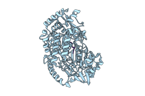 8QLV image