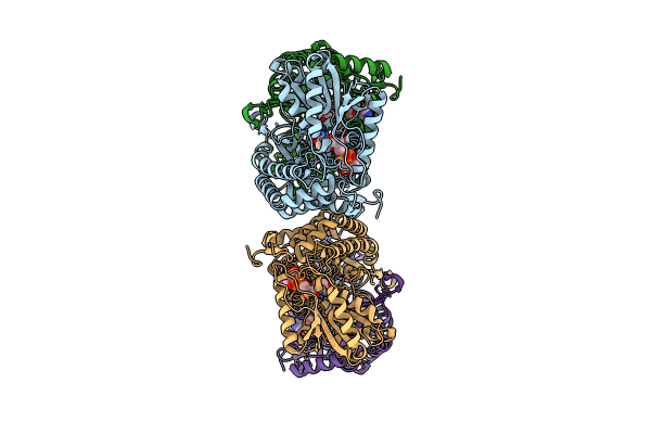 8QMS image
