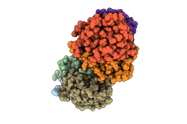 8QOS image