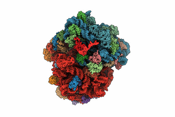 8QPP image