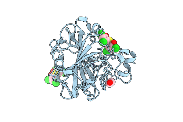 8QQA image