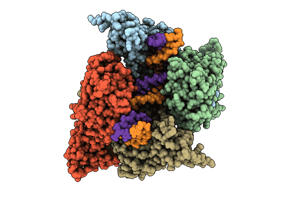 8QQI image