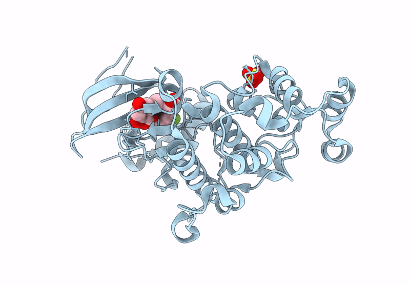 8QRC image
