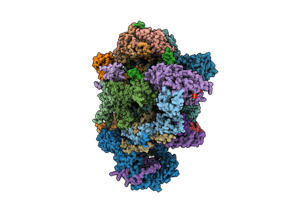 8QRL image
