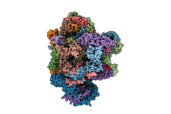 8QRN image