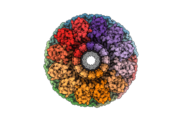 8QSI image