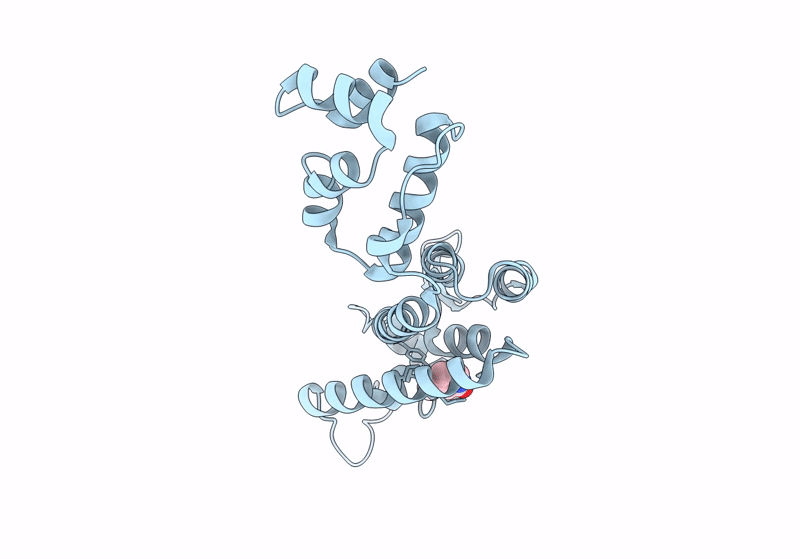 8QUH image