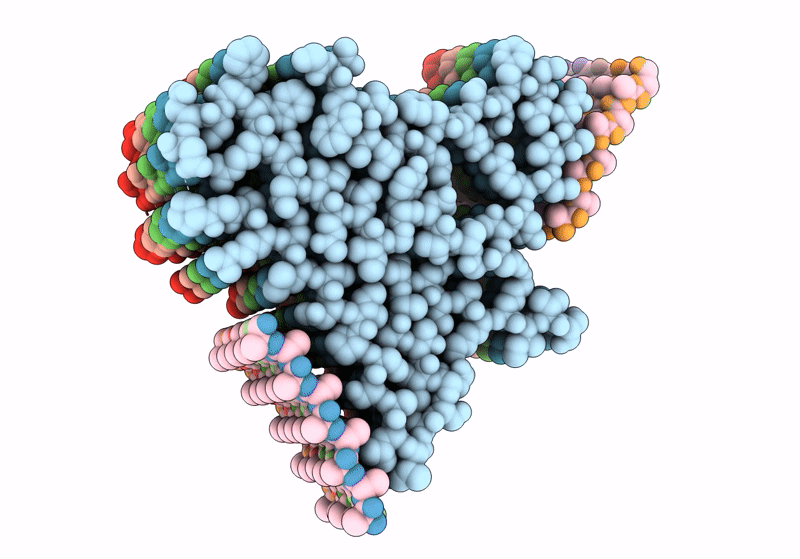 8QV8 image