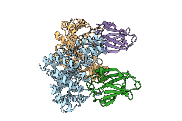 8QVD image