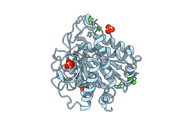 8QVO image