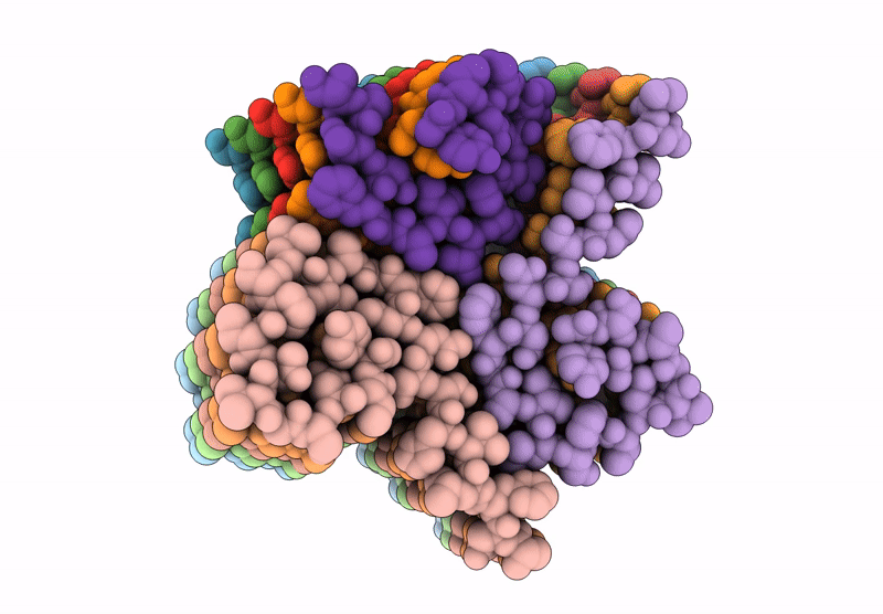 8QVQ image