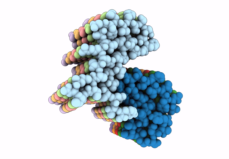 8QVR image