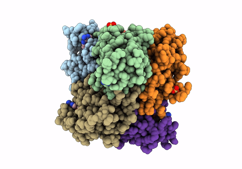 8QVZ image
