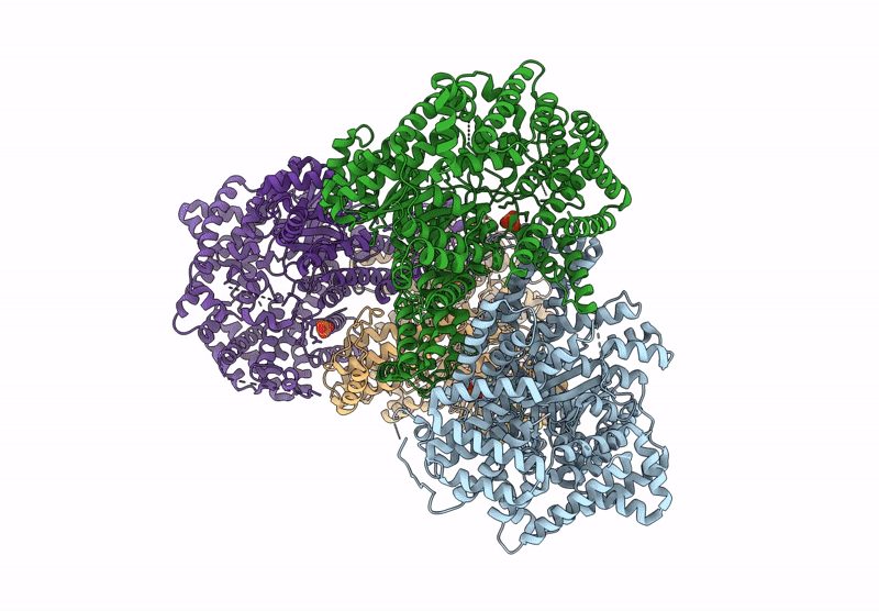 8QX3 image