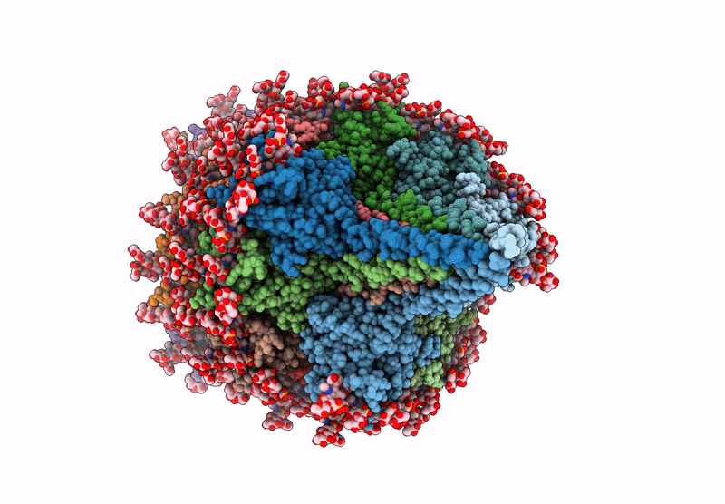 8QX4 image