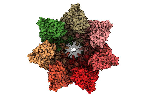 8QXS image