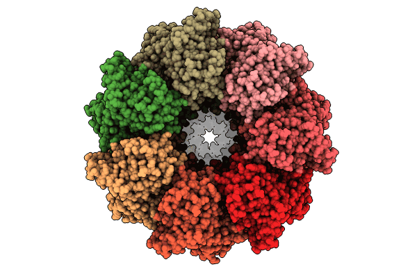 8QXT image