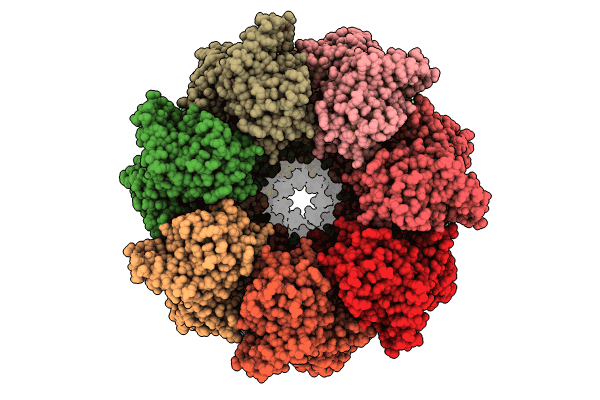 8QXV image