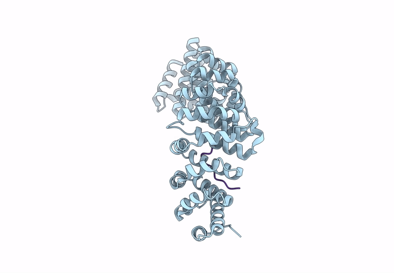 8QXW image
