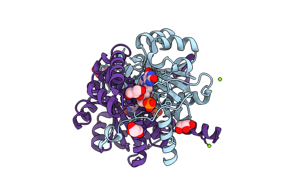 8QYG image
