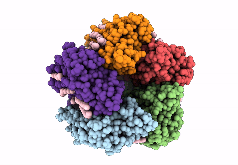8R0P image