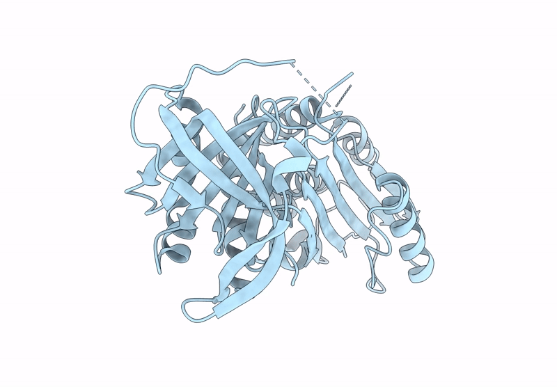 8R13 image