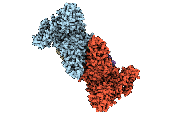 8R1G image