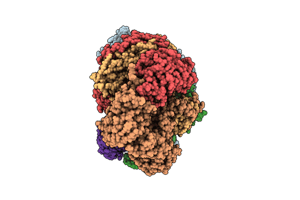 8R1J image