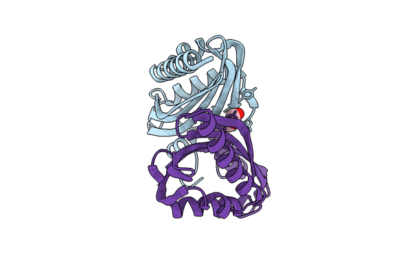 8R20 image
