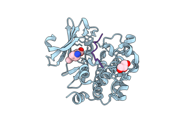 8R25 image
