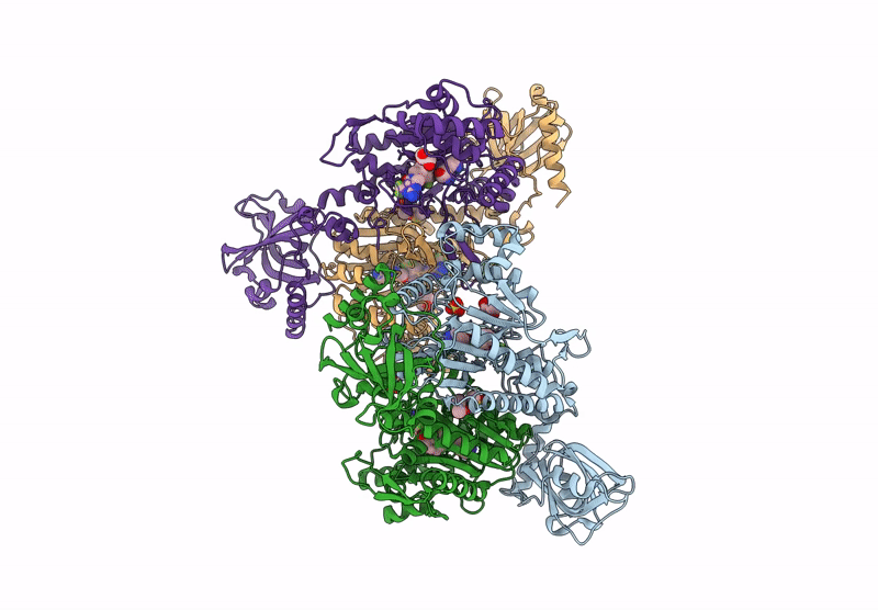 8r2a image