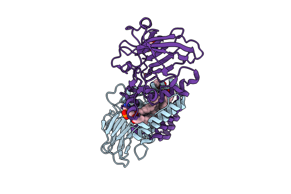 8R2W image