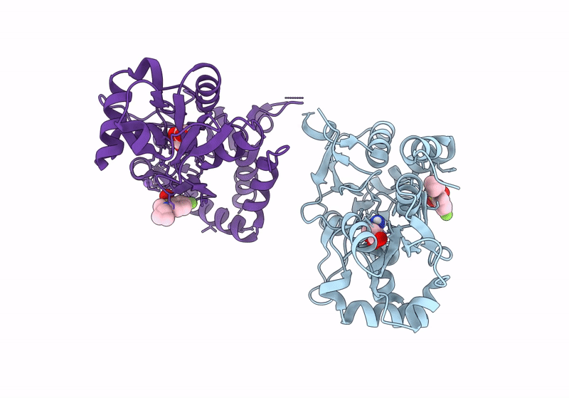 8R32 image