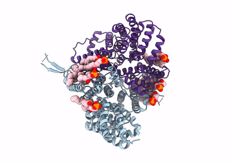 8R33 image