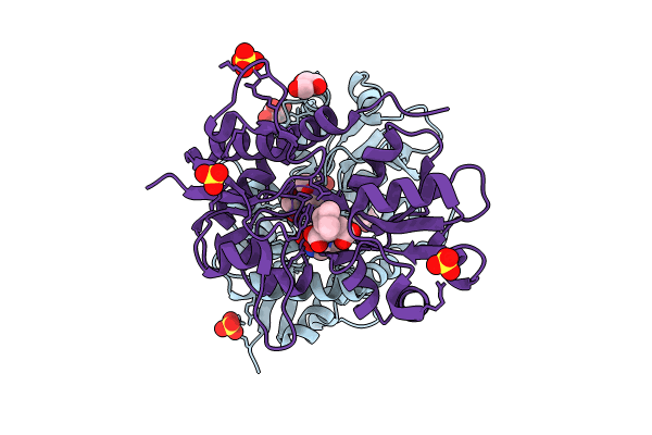 8R36 image