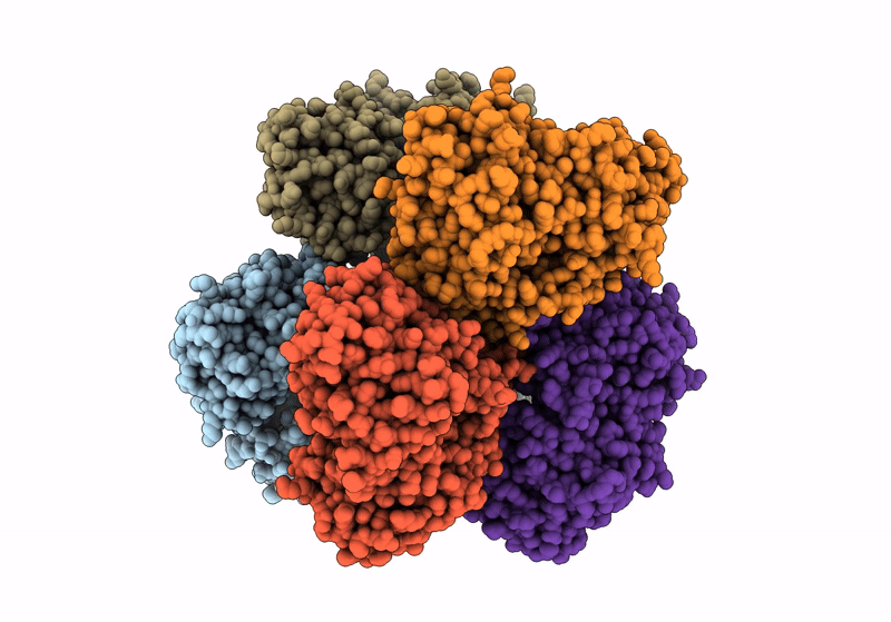 8R3E image