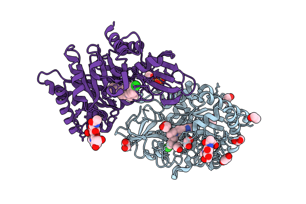 8R42 image