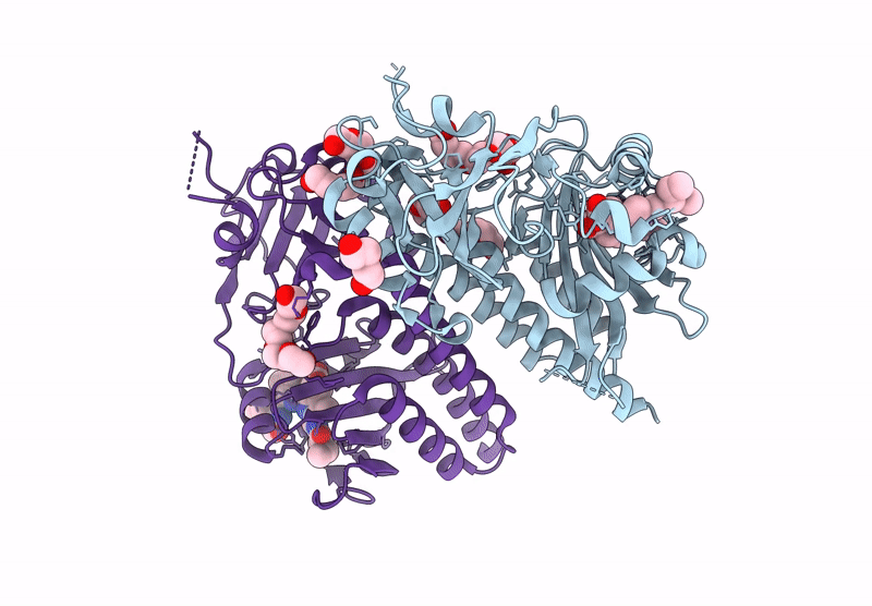 8R44 image