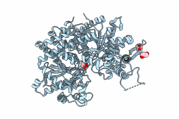 8R48 image