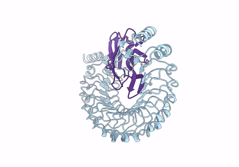 8R4C image