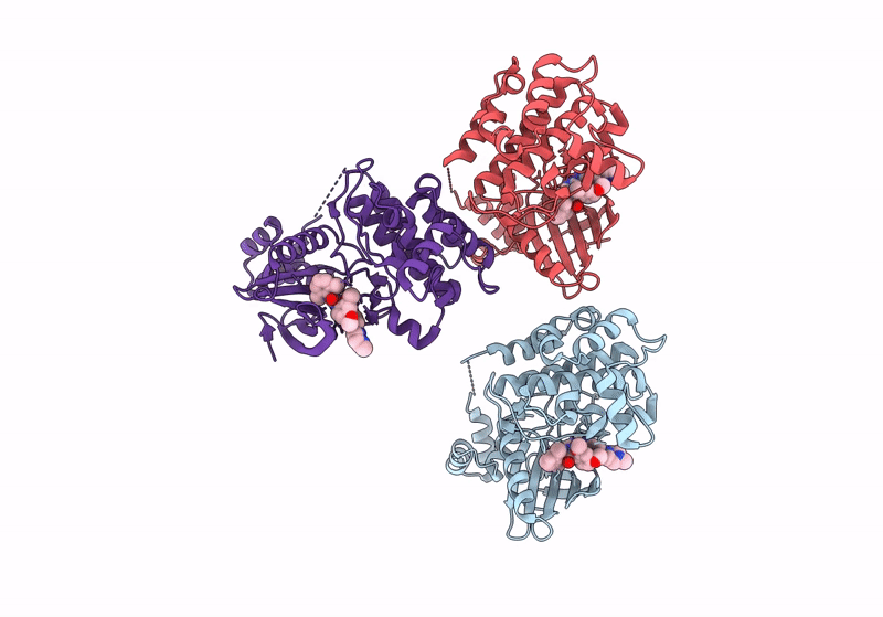 8R4V image