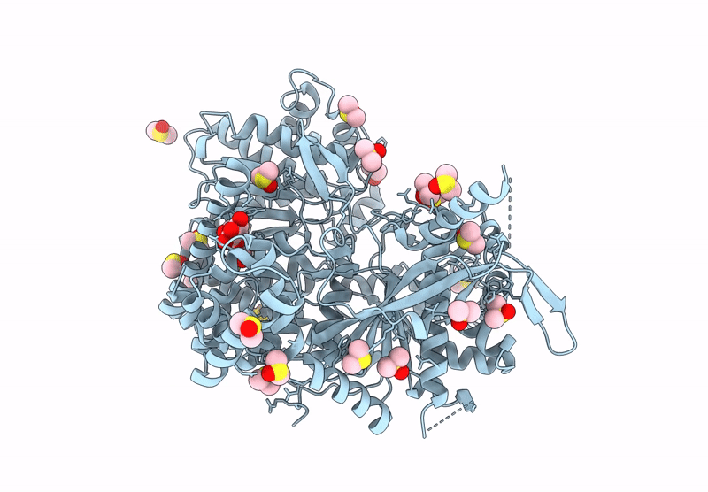 8R52 image