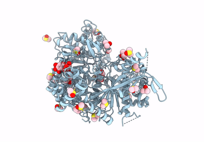 8R53 image