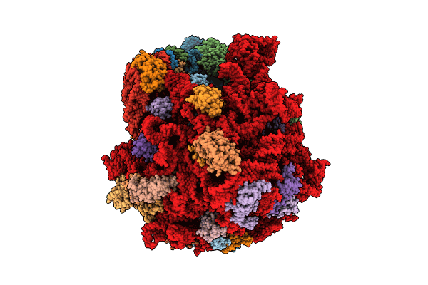 8R55 image