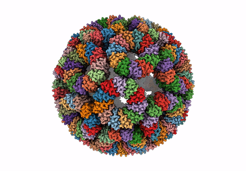 8R59 image